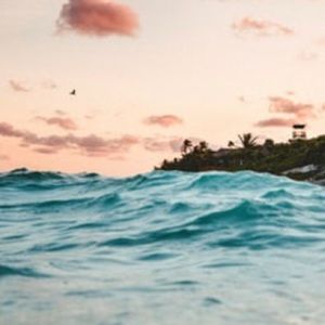 Meet your Posher, Ava